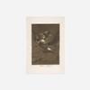 100% Smooth Cotton Paper - Francisco Goya - Plate 64 from Bon Voyage (1799) Photo Poster Painting Art Print - Size: 24 x 16 Inches view 2
