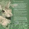 100% Smooth Cotton Paper - The Velveteen Rabbit Extract/Quote - The Skin Horse had Lived - Print Photo Poster - Art - Size: 24 x 16 Inches view 1