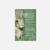 100% Smooth Cotton Paper - The Velveteen Rabbit Extract/Quote - The Skin Horse had Lived - Print Photo Poster - Art - Size: 24 x 16 Inches view 2