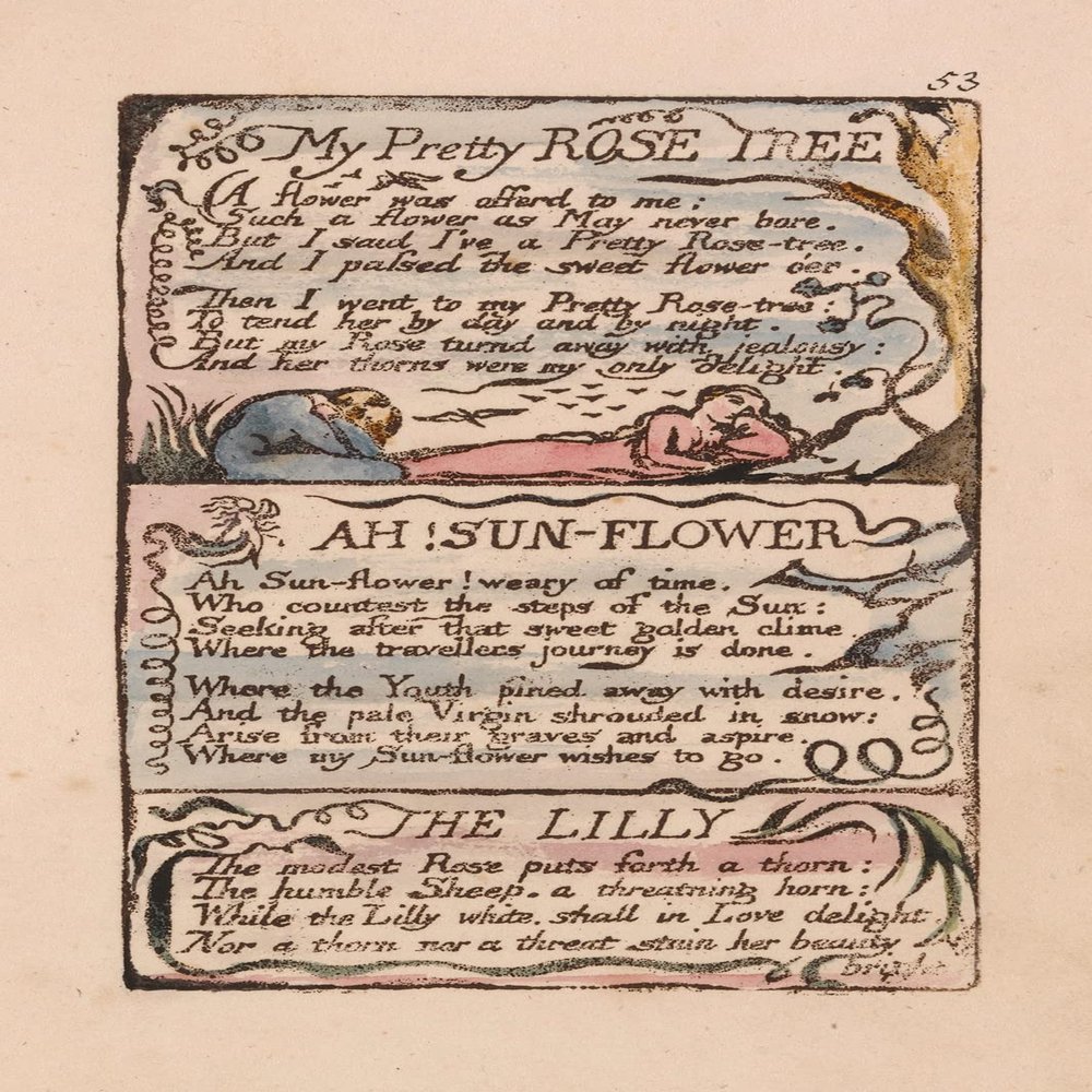 100% Smooth Cotton Paper - William Blake - Poem My Pretty Rose Tree - Plate 53 - Songs of Innocence and Experience (1794) Photo Poster Art Print Painting - Size: 24 x 16 Inches