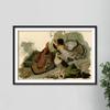 100% Smooth Cotton Paper - John James Audubon - Ruffled Grouse (1826) Birds of America Poster Painting Art Print - Size: 24 x 16 Inches view 4