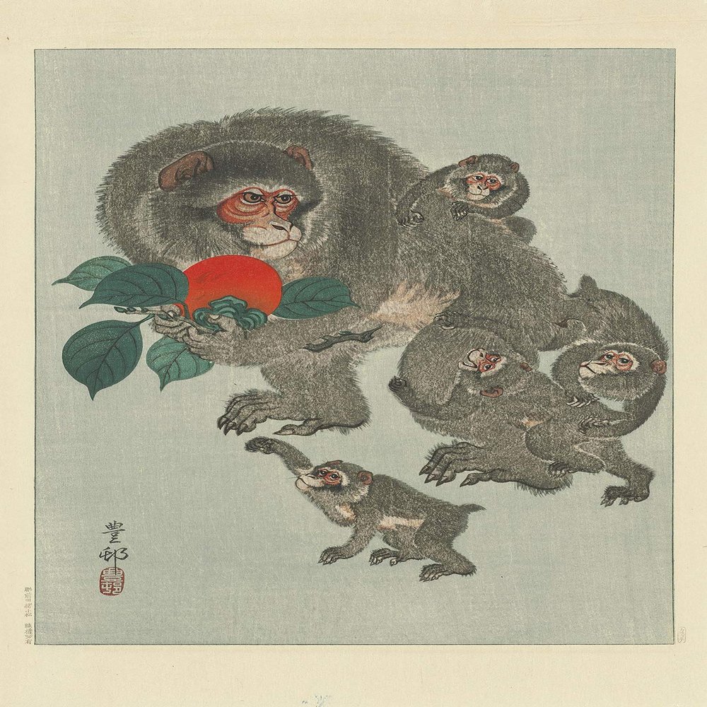 100% Smooth Cotton Paper - Ohara Koson - Mother Monkey and Infants (1930) - Painting Photo Poster Print Art Gift Wall Home Decor - Animal Wool Monkey - Size: 24 x 16 Inches