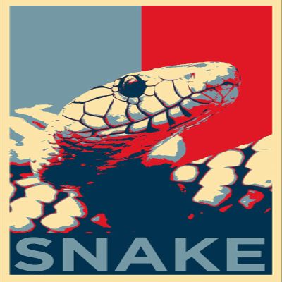 100% Smooth Cotton Paper - Snake Art Print 'Hope' - Photo Poster Gift - Animal Lovers Cobra Boa Constrictor - Size: 24 x 16 Inches