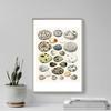 100% Smooth Cotton Paper - Bird Eggs (1851) Photo Poster Painting Art Print - Size: 24 x 16 Inches view 4