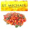 12 Pcs St. Michael Resin - Imported from India (50 Grams) 1.77 oz. view 1