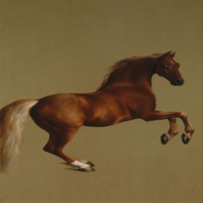 100% Smooth Cotton Paper - George Stubbs - Whistlejacket (1792) - Painting Photo Poster Print Art Gift Home Wall Decor - Equine Rider Riding Whistle Jacket - Size: 24 x 16 Inches