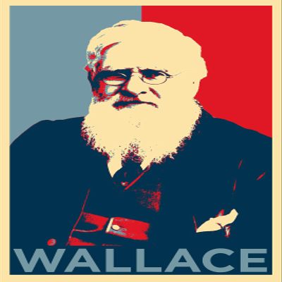 100% Smooth Cotton Paper - Alfred Russel Wallace Art Print 'Hope' - Photo Poster Gift - Russell Evolution Biology - Size: 24 x 16 Inches