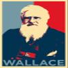 100% Smooth Cotton Paper - Alfred Russel Wallace Art Print 'Hope' - Photo Poster Gift - Russell Evolution Biology - Size: 24 x 16 Inches view 1