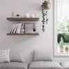 JPND Floating Shelf, Set of 2 Wall Shelf, 24 in W x 12.75 in D x 2 in H Wooden Floating Wall Shelf with Invisible Brackets for Living Room/Bedroom/Bathroom/Kitchen Storage and Decor, Walnut view 2