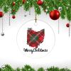 Christmas Ornament Merry Christmas Ohio Keepsake Ceramic Ornament US State Ceramic Elegant Hanging Christmas Tree Decorations view 3