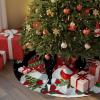 48 Inch Christmas Tree Skirt, Christmas Gnomes Tree Skirt Christmas Decorations Indoor Outdoor, Xmas Tree Snowflake Balls Birds Black Xmas Tree Skirts Mats Ornaments for Party Decor view 2