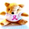SL2Y- Breast Cancer 7pc Gift Set. Breast Cancer Themed Items (1) Water Bottle (1) Mini Teddy bear (1) Decor Towel (1) Note Tablet wpen (1) Hope, Courage, Faith, Strength Scarf (1) Button (1) magnet. view 2