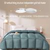 MSUDGH Bedding Winter Thicken Duvet, Goose Down Quilt Breathable and Warm Feather Comforter, Fluffy and Soft (Dark Green,180 * 220cm 5KG) view 2