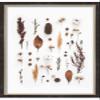 30x25 Walnut Shadowbox Frame - Shadow Box Frame Interior Size 30x25 by 2 Inches Deep - Walnut Frame is Made to Display Items Up to 1.75 Inches Deep Includes Shatter Proof Acrylic, Backing, Hardware view 4