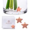 Precious Petal Co. Flower Food Alternative for Fresh Cut Flowers. Copper Charm Keeps Flower Water Clean and Clear. Just Place It in the Vase, Reusable Star 2 view 1
