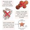 Precious Petal Co. Flower Food Alternative for Fresh Cut Flowers. Copper Charm Keeps Flower Water Clean and Clear. Just Place It in the Vase, Reusable Star 2 view 3