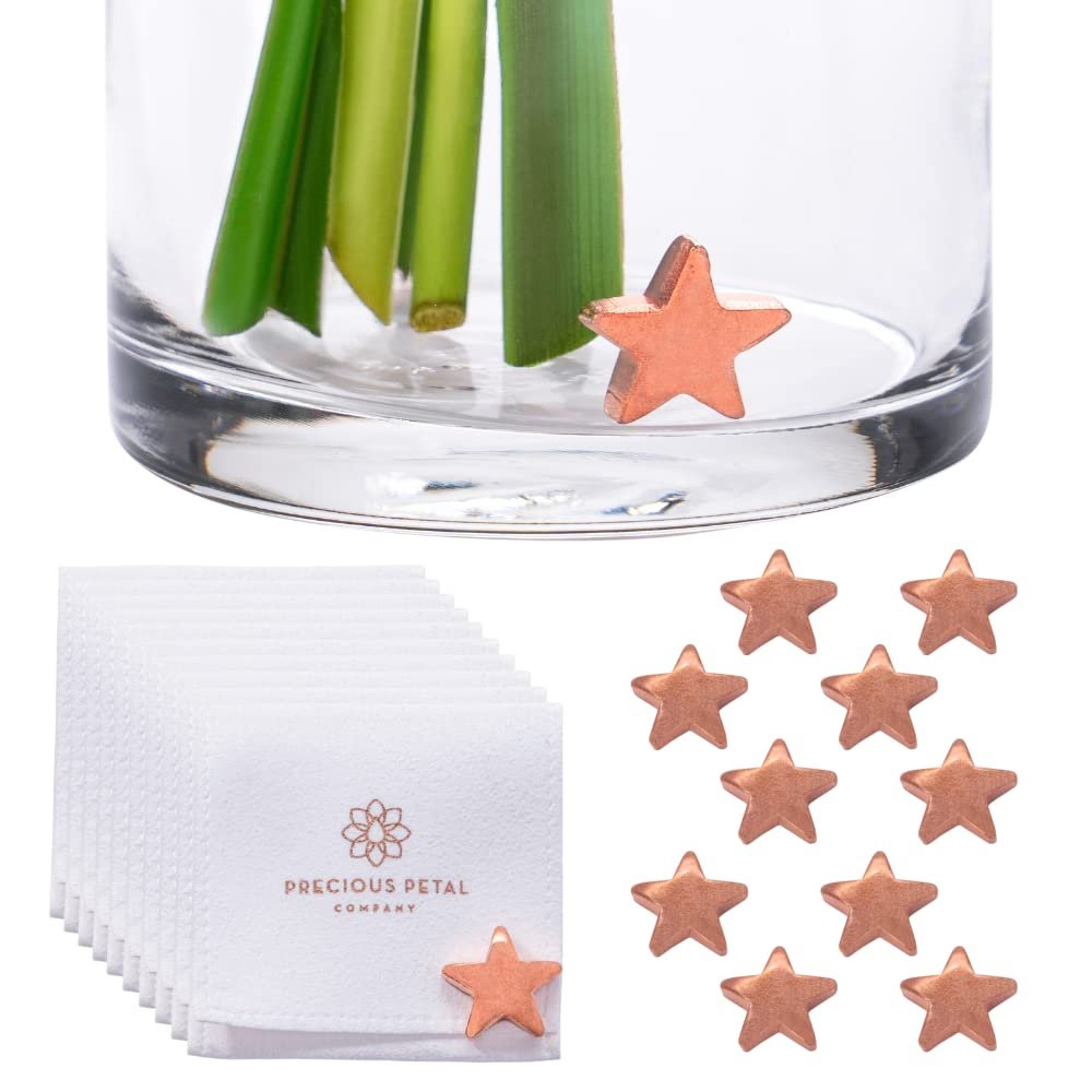 Fresh Cut Flower Food for Fresh Cut Flowers Alternative. Flower Vase Copper Charm Keeps Flower Water Clean and Clear. No More Flower Food Packets