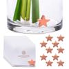 Fresh Cut Flower Food for Fresh Cut Flowers Alternative. Flower Vase Copper Charm Keeps Flower Water Clean and Clear. No More Flower Food Packets view 1
