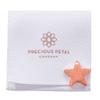 Fresh Cut Flower Food for Fresh Cut Flowers Alternative. Flower Vase Copper Charm Keeps Flower Water Clean and Clear. No More Flower Food Packets view 4