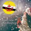 Brunei Round Ceramic Christmas Ornaments Brunei Flag Ornament for Christmas Tree Decor National Flag Country Souvenir City Gift Christmas Decorations Housewarming view 2