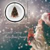 Christmas Ornaments Christmas Tree in Hawaii Tropical Fruit Round Ceramic Christmas Ornaments Hawaii Tropical Fruit Christmas Tree Decoration Keepsake Funny Fruit Ornaments New Home view 2