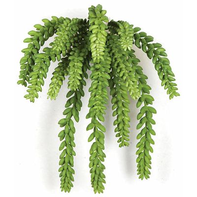 SilksAreForever 12" Hanging IFR Artificial Sedum Stem -Green (Pack of 6)