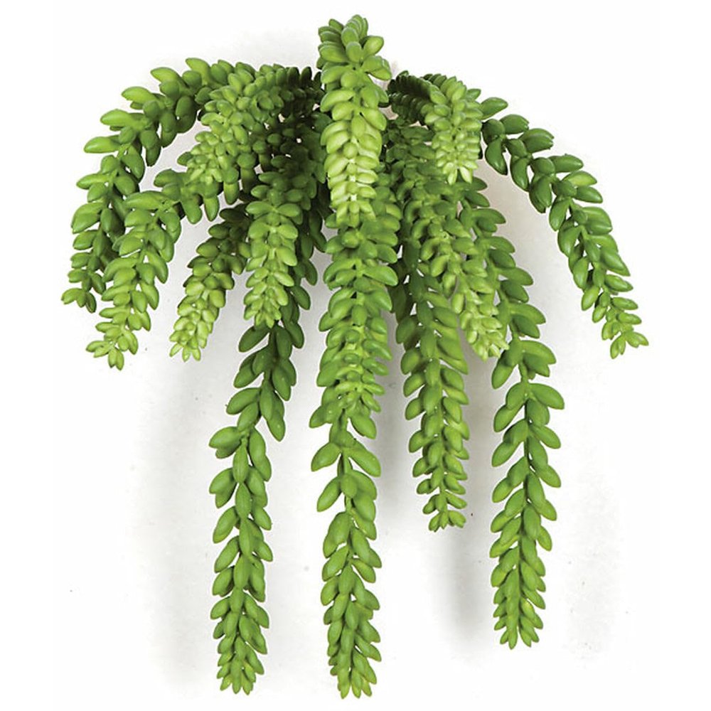 SilksAreForever 12" Hanging IFR Artificial Sedum Stem -Green (Pack of 6)