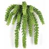 SilksAreForever 12" Hanging IFR Artificial Sedum Stem -Green (Pack of 6) view 1