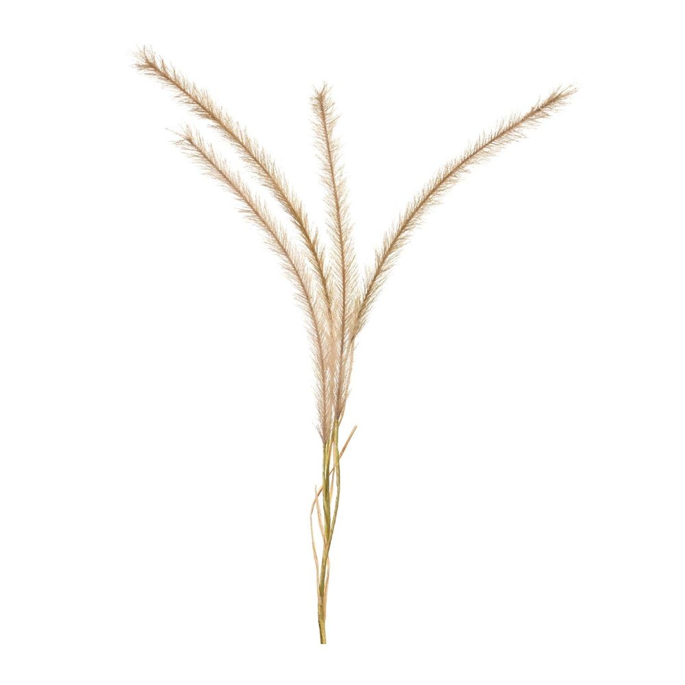 Melrose Set of 6 Polyester Fox Tail Stem with Brown Finish 85643DS