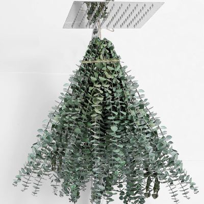 30 Pcs Dried Eucalyptus Stems 17" Real Eucalyptus for Shower Hanging 100% Made from Fresh Leaves, Wedding, Home, Farmhouse, DIY Spring Decor