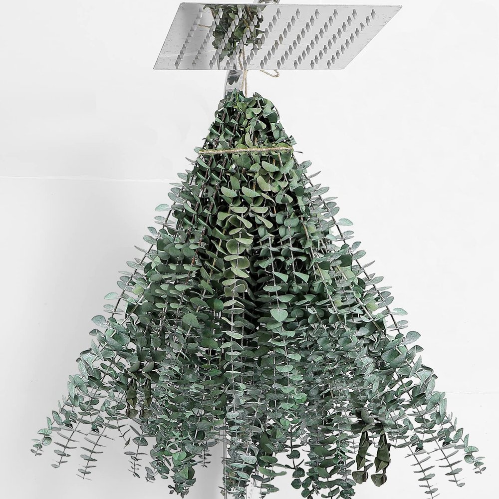 30 Pcs Dried Eucalyptus Stems 17" Real Eucalyptus for Shower Hanging 100% Made from Fresh Leaves, Wedding, Home, Farmhouse, DIY Spring Decor