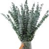 30 Pcs Dried Eucalyptus Stems 17" Real Eucalyptus for Shower Hanging 100% Made from Fresh Leaves, Wedding, Home, Farmhouse, DIY Spring Decor view 2