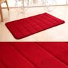 2pcs Washable Area Rug Floor Mat Bathroom Carpet Indoor Door Mat Washable Runner Rug Rug Indoor+Door+mat Rug Carpet Doormat Absorb Water Soft view 4