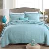 XXRBB Quilted Bedspread Soft Lightweight Double-Sided Stitched Reversible Bed Cover, with 2 Pillow Shams,Blue,King 250x270cm view 1