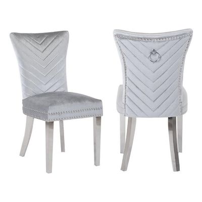 Galaxy Home Furnishings Eva 2 Piece Stainless Steel Legs Chair Finish with Velvet Fabric in Silver