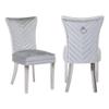 Galaxy Home Furnishings Eva 2 Piece Stainless Steel Legs Chair Finish with Velvet Fabric in Silver view 1