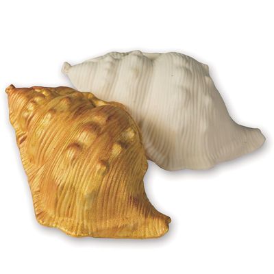 Color Me Sea Shell Pk12