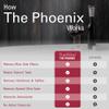 PureWine Phoenix Wine Aerator Pourer Spout - Removes Histamines & Sulfites as You Pour, Red & White Wine Purifier Filter, Helps Allergies & Headaches, Restores Oxidized Bottles- Starter Kit, Noir view 3