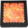 qiqee Auto-pop up Black Bakery Boxes 50 Packs Pastry Box 8x8x2.5 inch Pie Boxes With Window view 1