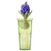 Tombow Hydroponics Container, Glow Base, Green, Shinki Synthetic 3.5 x 6.7 inches (9 x 17 cm) view 3