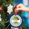 Christmas Ornaments Belize Flag Ornaments for Christmas Trees Country City Souvenir Ceramic Belize Ornaments Personalized Christmas Ornaments 2022 Keepsake Holiday Christmas Decor, 3 Inch view 4