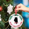Illinois Ornaments Personalized Home State Christmas Ornaments 2022 Merry Christmas Wreath Christmas Decorations for Tree Illinois Hanging Ornaments Holiday Christmas Keepsake New Year Gifts, 3 Inch view 4