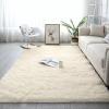 Heavyoff Fluffy Shaggy Area Rugs for Bedroom, Soft Non-Slip Plush Carpet Feet Floor Mats Rectangular Cozy Rug for Nursery Room Living Room Pink 1, 1.6 ft x 5.2 ft view 2