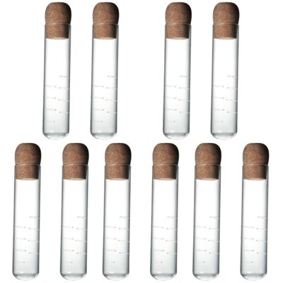 BESTonZON Coffee Filter 10pcs Tea Individual Wedding Strainer Lid Home Cork Test Filtering Diffuser Vase: Storage Tube Jars Fu Infuser Caps Leaf Shaped Infusion Coffee Filters