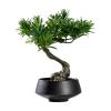 Artificial Bonsai Tree Artificial Small Bonsai Pine Tree Fake Green Plant Ornament with Black Ceramic Pot Japanese-style Plant Potted Coffee Table Shelf Book Wine Cabinet Decorative Ornament for Decor view 1