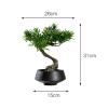 Artificial Bonsai Tree Artificial Small Bonsai Pine Tree Fake Green Plant Ornament with Black Ceramic Pot Japanese-style Plant Potted Coffee Table Shelf Book Wine Cabinet Decorative Ornament for Decor view 2