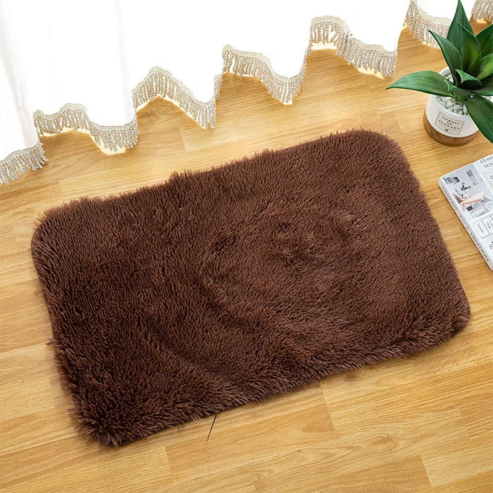 SHENGANG Bath Mat Bedroom Kitchen Rug Carpet for Living Room Floor Anti-Slip Door Absorbent Pad Mat,23,40x60cm