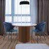 LyuHome Velvet Dining Chairs Set of 2, Kitchen Modern Dining Chairs, Upholstered Side Chair with Stable Metal Legs for Dining Room Kitchen Vanity Beauty Room (Blue, 2 PCS) view 2