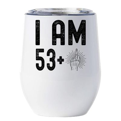 54 Birthday Tumbler 12oz With Lid Gift For Women, Men - 53 Plus One Middle Finger Vintage Wine Glass Mug - 54th Bday Coffe Cup Stainless Steel - I Turn 54 Year Old Retro Style Tumblers Chritmas