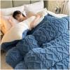 ZTGL 3-5 Kg Super Warm Lamb Solid Color Winter Blanket Double-Sided Fleece Quilt Thickened Warm Plush Quilt for Cold Weather,Blue,180x220cm/3.5kg view 1